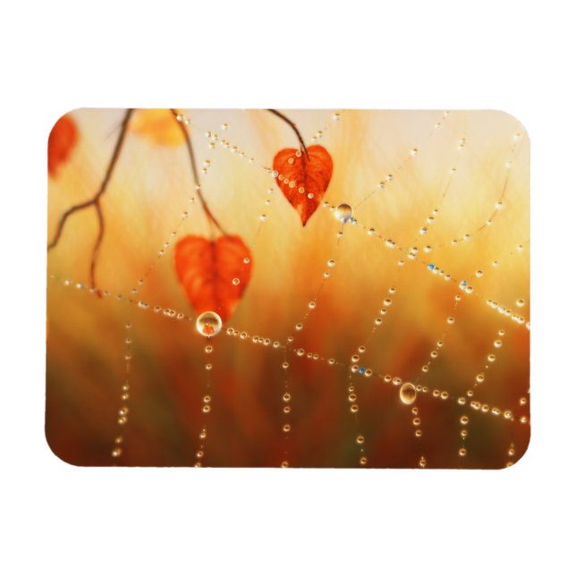 Magnet Flexible Les pierres précieuses d'un aimant flexible matin  (Horizontal)