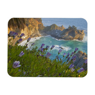 Magnet Flexible Les Pittoresques McWay Falls tombent sur la plage.