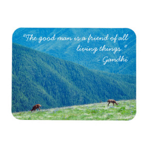 Magnet Flexible Les seaux au pied des montagnes