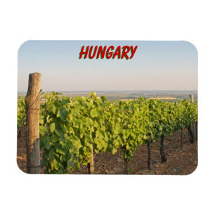 Magnet Flexible Les vignobles de Tokaj, Hongrie