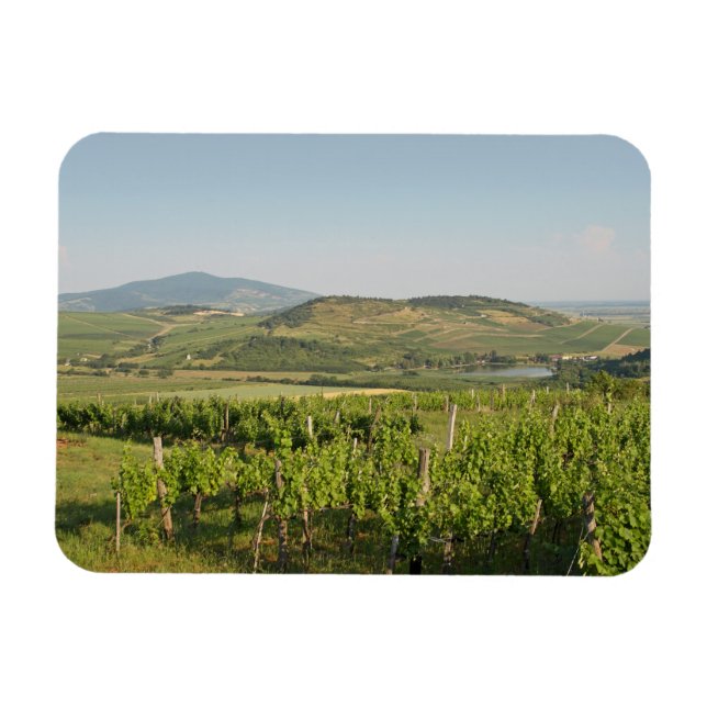 Magnet Flexible Les vignobles de Tokaj, Hongrie (Horizontal)