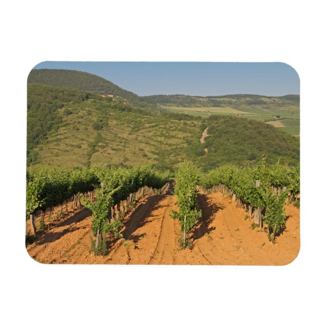 Magnet Flexible Les vignobles de Tokaj, Hongrie (Horizontal)