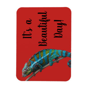 Magnet Flexible Lézard Bleu, Belle Journée, Aimant Rouge