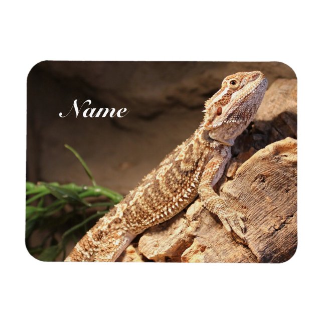 Magnet Flexible Lézard Dragon Porté Par Un Bébé Personnalisé (Horizontal)