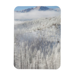 Magnet Flexible L'hiver dans la forêt nationale de Pike