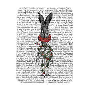 Magnet Flexible Lièvre de fraise