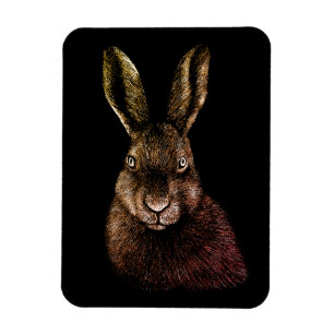 Magnet Flexible Lièvre, lapin, dessin