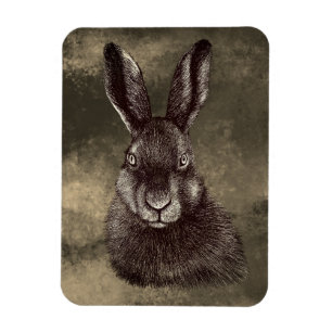 Magnet Flexible Lièvre, lapin, dessin