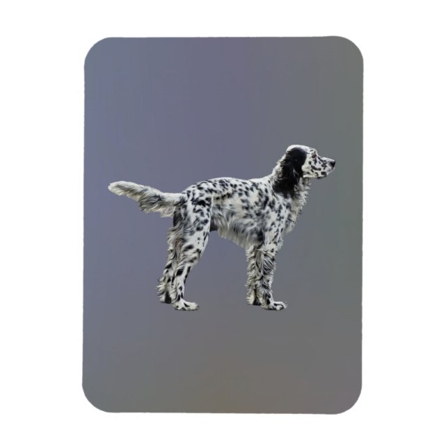 Magnet Flexible Liewellin Setter (Vertical)