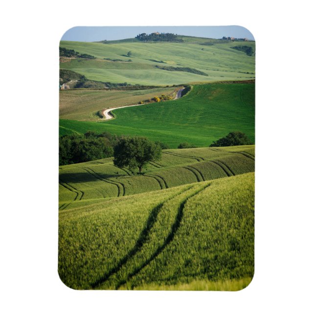 Magnet Flexible Lignes courbes dans aimant vertical vert Toscane (Vertical)