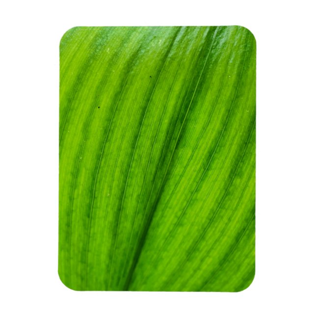 Magnet Flexible Lily de la Vallée (Vertical)