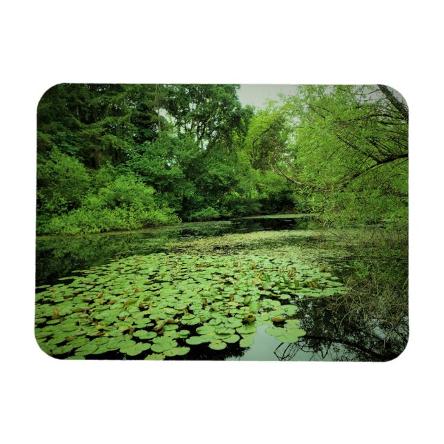 Magnet Flexible Lily Pads sur le Pond (Horizontal)