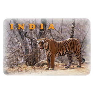Magnet Flexible L'Inde