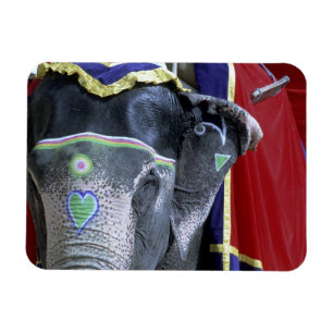 Magnet Flexible L'Inde, Ràjasthàn, Jaipur. Fort ambre