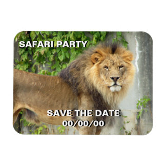 Magnet Flexible Lion à Masai Mara 2 Sauvez la date