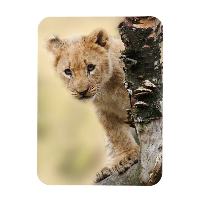 Magnet Flexible Lion Cub (Vertical)