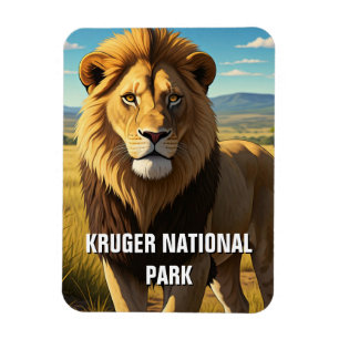 Magnet Flexible Lion dans le Parc National de Kruger Afrique du Su