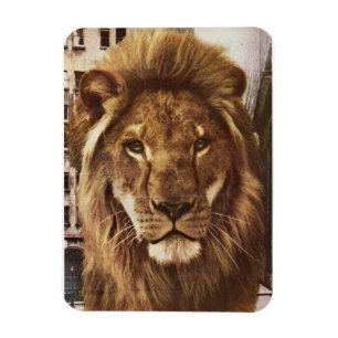 Magnet Flexible lion en ville