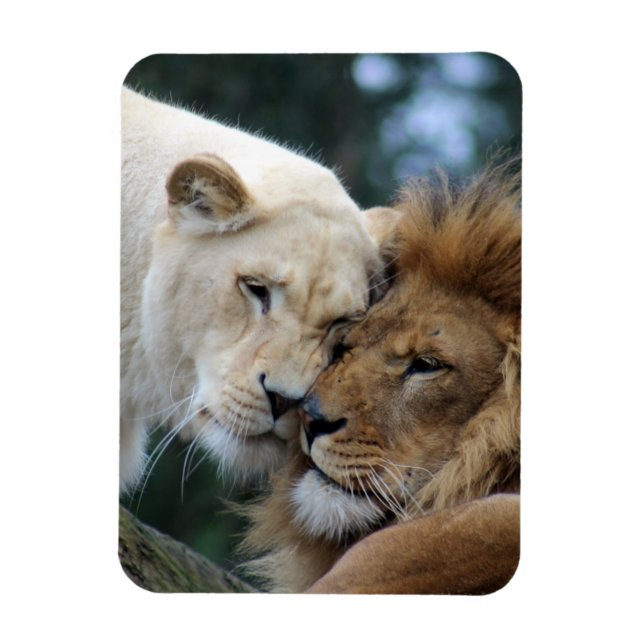 Magnet Flexible Lion et Lion (Vertical)