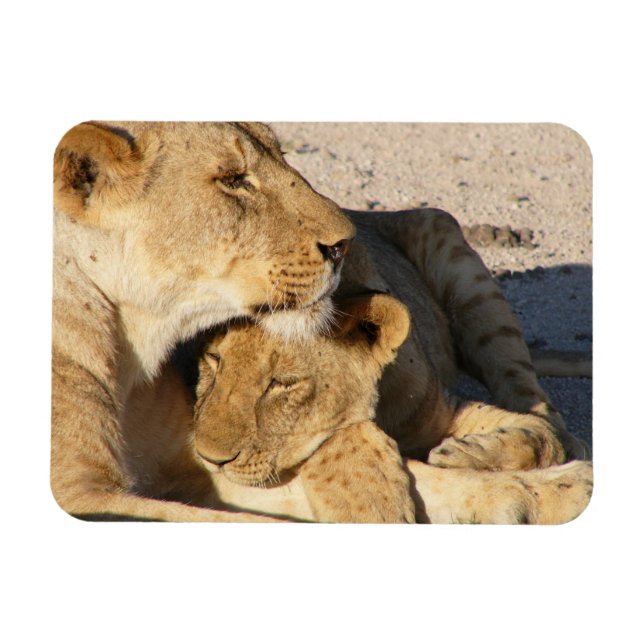 Magnet Flexible Lioness and Cub Resting Together (Horizontal)