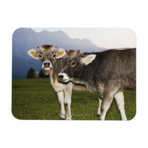 Magnet Flexible L'Italie, alto l'Adige