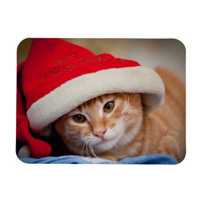Magnet Flexible Little Kitten en Casquette de Noël rouge (Horizontal)