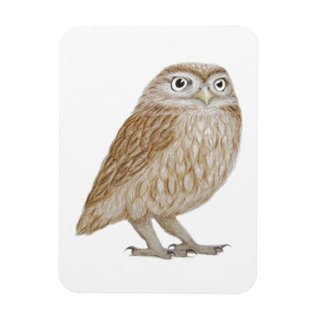 Magnet Flexible Little Owl 2011 (Vertical)