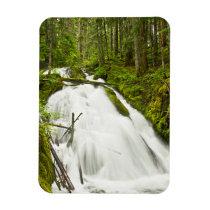 Magnet Flexible Little Zig Zag Falls Mount Hood National Forest