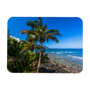 Magnet Flexible Littoral tropical