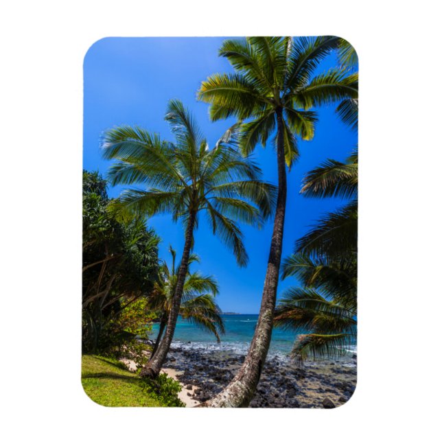 Magnet Flexible Littoral tropical 2 (Vertical)