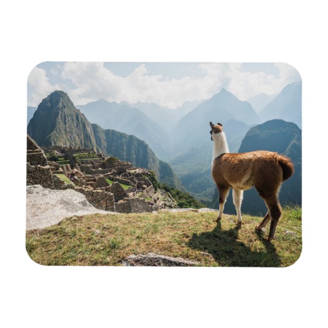 Magnet Flexible Llama surplombant les ruines | Machu Picchu, Pérou (Horizontal)