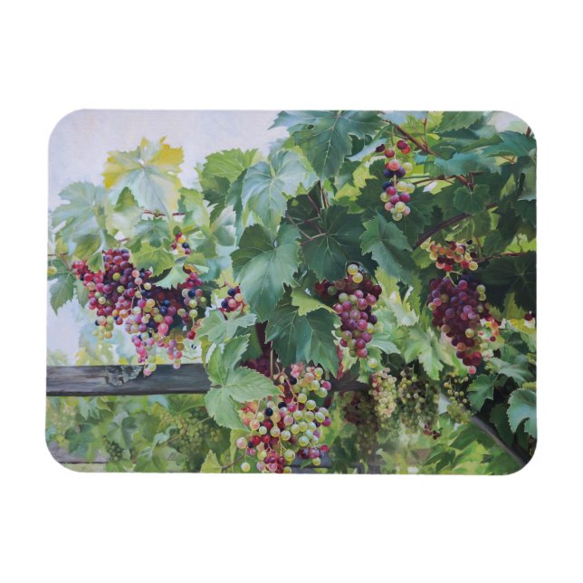 Magnet Flexible Loire Valley Vineyard – French Grape Painting (Horizontal)