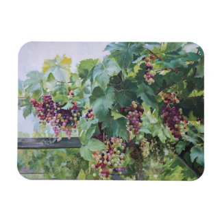 Magnet Flexible Loire Valley Vineyard – French Grape Painting