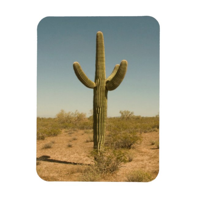 Magnet Flexible Lone Cactus (Vertical)