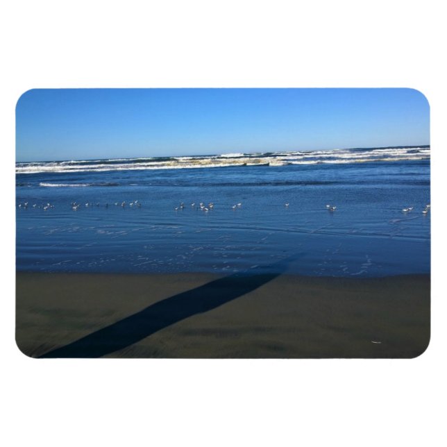 Magnet Flexible Long Beach, Washington (Horizontal)