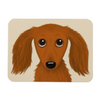 Long Haired Dachshund | Doxie mignon chien de dess