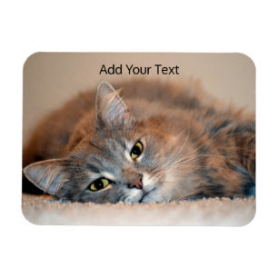 Magnet Flexible Long Haired Russian Blue Cat by Shirley Taylor