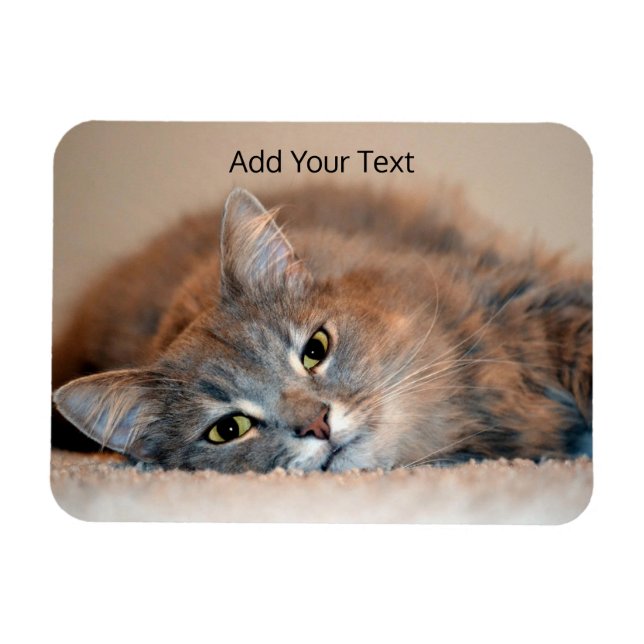 Magnet Flexible Long Haired Russian Blue Cat by Shirley Taylor (Horizontal)