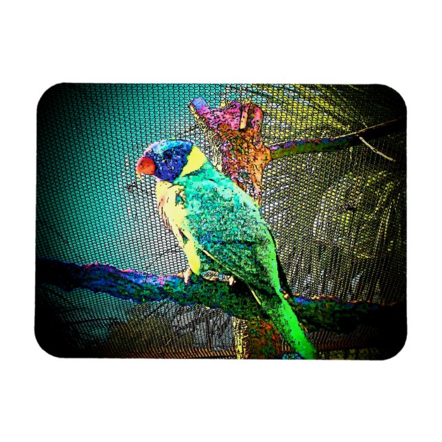 Magnet Flexible Lorikeet Bird Magnet-Design 2 (Horizontal)