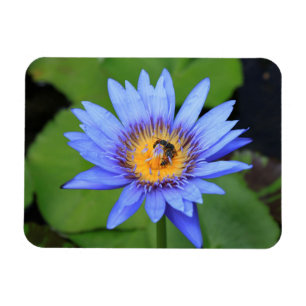 Magnet Flexible Lotus