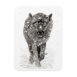 Magnet Flexible Loup noir en colère dans la neige, hiver sauvage