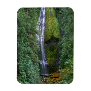 Magnet Flexible Lower Proxy Falls   Forêt nationale de Willamette