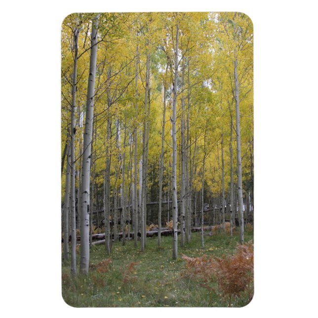 Magnet Flexible Lueur jaune de l'Aspen (Vertical)