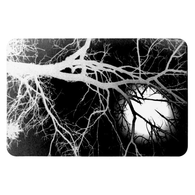 Magnet Flexible Lune (Horizontal)