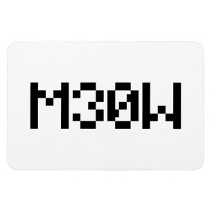 Magnet Flexible M30W [Sons animaux de léopards]