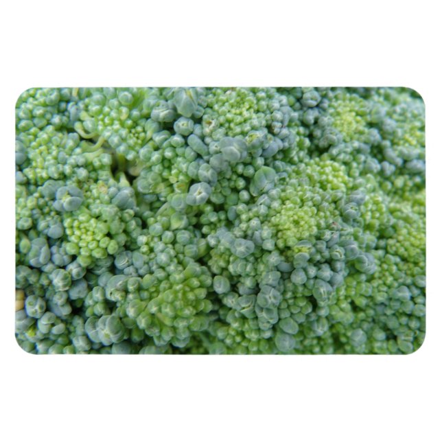 Magnet Flexible Magnat Broccoli Macro Premium (Horizontal)