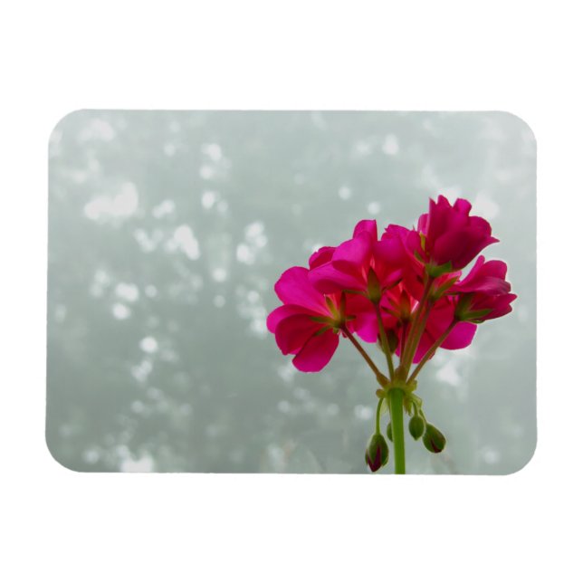 Magnet Flexible Magnat photo en géranium rose (Horizontal)