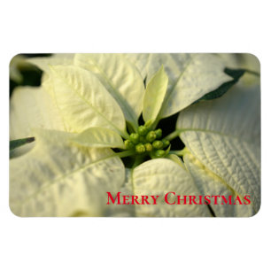 Magnet Flexible Magnet-Poinsettia