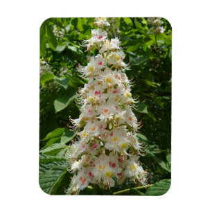 Magnet Flexible Magnifique aimant Fleur 3"x4"