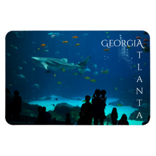 Magnet Flexible Magnifique Atlanta Georgia